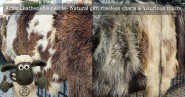 Peaux de mouton - Peaux de mouton décoratives Adam Leather - ce ne sont pas seulement de beaux accents !