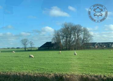 Peaux de mouton -  Peau de mouton naturelle, laine, fourrure - une variété de formes, des textures luxueuses, des couleurs riches ! Ce ne sont là que quelques caractéristiques qui font de Our Sheepskins un produit 100% naturel unique !