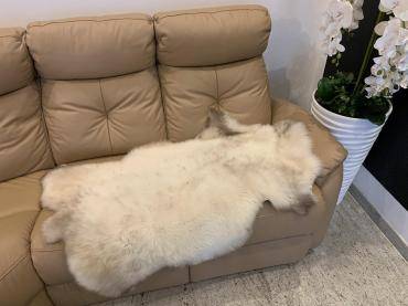 Peaux de mouton - Vous cherchez une décoration pour votre salon ? Vous le trouverez chez nous!