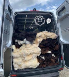 Peaux de mouton - Danemark - Peaux naturelles Copenhague et notre entreprise - compte-rendu d'un voyage d'affaires réussi chez le client