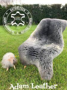 Peaux de mouton - Les merveilles des peaux de mouton hollandaises et Texel vous garantissent confort et chaleur !