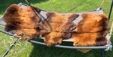 Peaux de mouton - Peignez votre environnement avec des peaux de mouton aux couleurs automnales de la collection Adam-Leather !