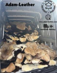 Peaux de mouton - voyage d'affaires chez le client