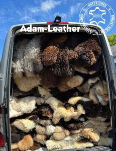 Peaux de mouton - Un autre voyage d'affaires vers le client est derrière nous !