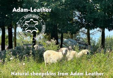 Peaux de mouton - La sieste bat son plein ! peau de mouton! Fabriqué par la nature - Fabriqué par Adam Leather !