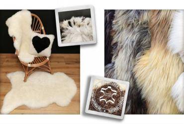 Peaux de mouton - Que se passe t-il ici?