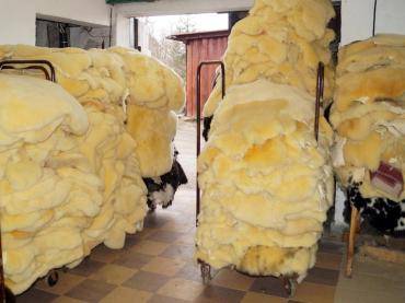 Peaux de mouton - Peau de mouton Relugan - CADEAU NATUREL - souvent utilisé à des fins thérapeutiques...