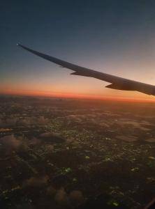 Peaux de mouton -  Voler dans les nuages ​​vers Miami