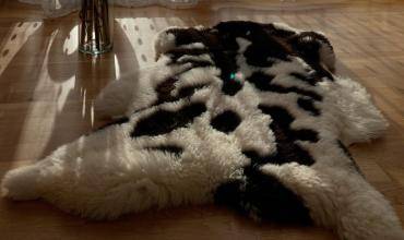 Peaux de mouton - Tapis en peau de mouton, tapis bio, tapis décoratif, tapis oriental, petit tapis - Sélection de tapis en peau de mouton polyvalents