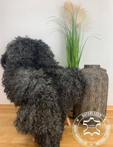 Peaux de mouton - Saviez-vous que notre cuir est 100% biologique?