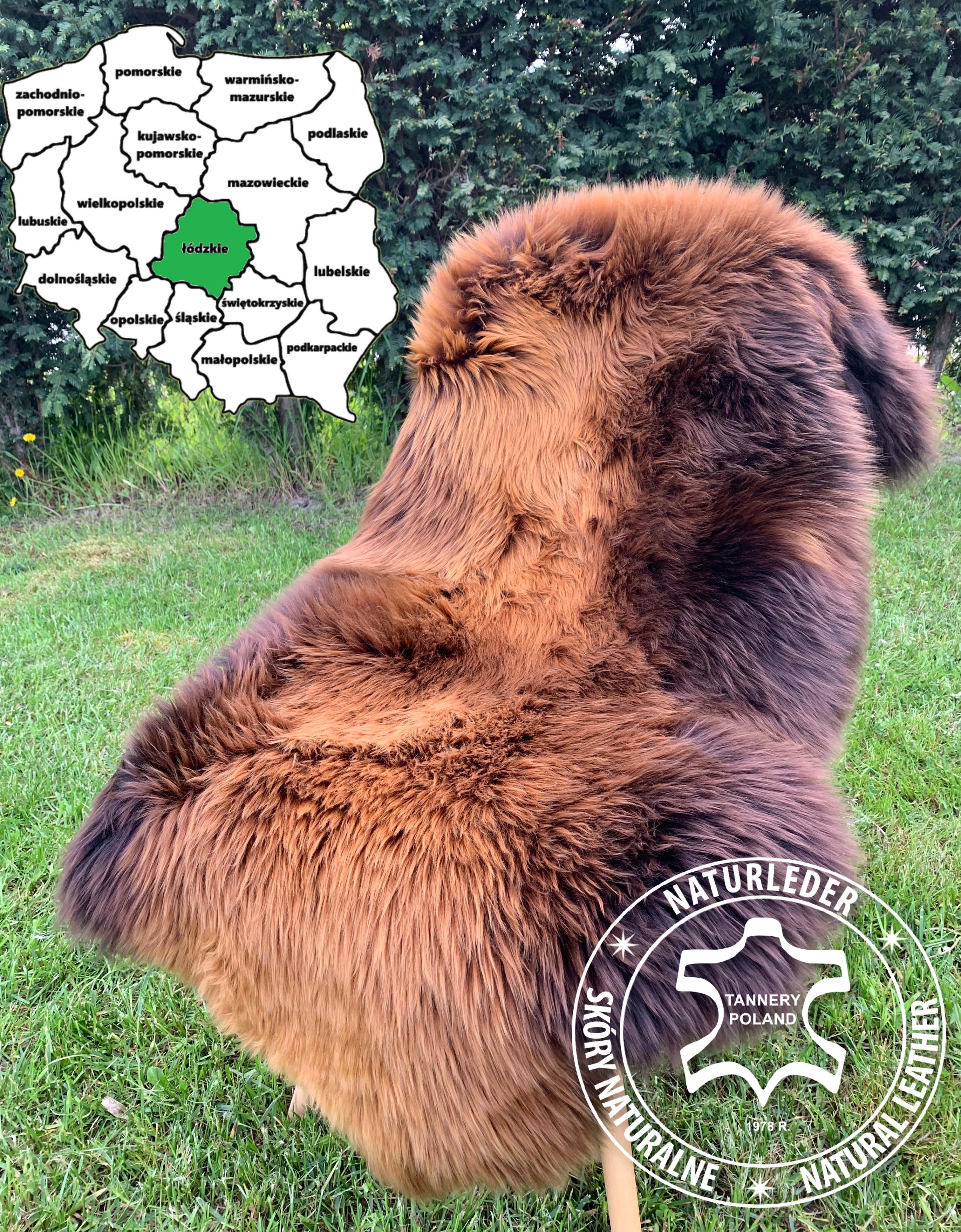 Peaux de mouton - Peaux de mouton Łódź - Tannerie, Voïvodie de Łódź, Pologne 