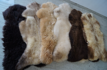 Peaux de mouton - Peaux de mouton décoratives ? Uniquement de notre tannerie !