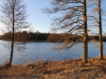Peaux de mouton - Nous partons en voyage d'affaires chez des clients suédois !
