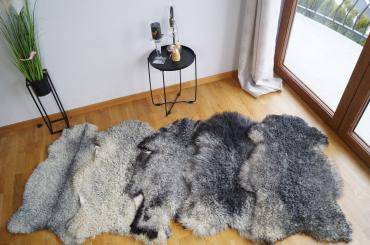 Peaux de mouton - Un paquet unique de 50 peaux de mouton Gotland !
