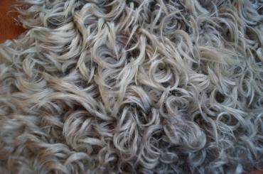 Peaux de mouton - Peau de mouton Gotland - la peau de mouton de luxe ultime