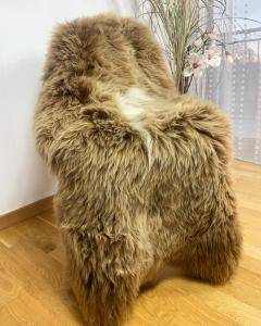 Peaux de mouton - Nos belles peaux de mouton hollandaises