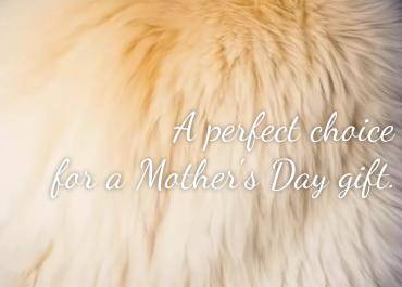 Peaux de mouton - La peau de mouton naturelle est un choix parfait pour un cadeau de fête des mères.