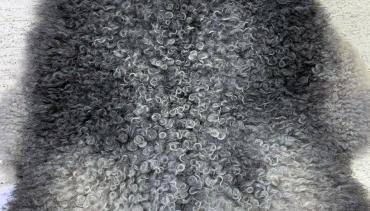 Peaux de mouton - Peaux de mouton Gotland - La Rolls Royce des peaux de mouton