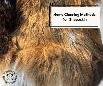 Peaux de mouton - Méthodes de nettoyage à domicile pour les peaux de mouton