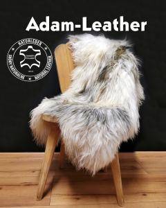 Peaux de mouton - Heidschnucke est une race de moutons du nord de l'Allemagne