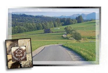 Peaux de mouton - Portraits de moutons