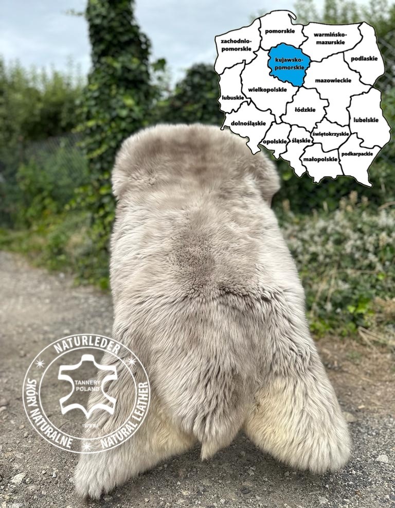 Peaux de mouton - Peaux de mouton de Bydgoszcz, voïvodie de Cujavie-Poméranie, Pologne