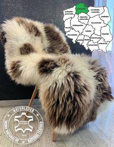 Peaux de mouton - Peaux de mouton Sopot - Tannerie, Voïvodie de Poméranie, Pologne