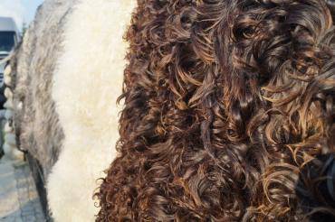 Peaux de mouton - Peaux de mouton suédoises naturelles