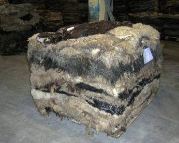 Peaux de mouton - Achat de peaux brutes - peaux de moutons brutes