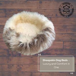 Peaux de mouton - Couchage en peau de mouton pour chien – Luxe et confort réunis
