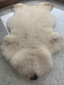 Peaux de mouton -  Peaux de mouton Meliert - Biscuits