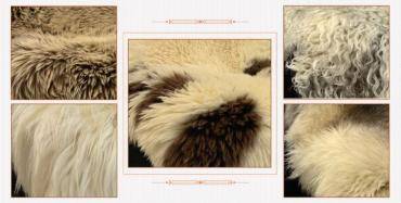 Peaux de mouton - Des matières premières naturelles aux usages multiples et aux propriétés précieuses !