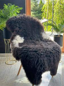 Peaux de mouton - Beauté naturelle et confort des peaux de mouton Adam-Leather