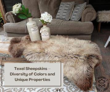 Peaux de mouton - Peaux de mouton Texel – Diversité des couleurs et propriétés uniques