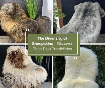 Peaux de mouton - La diversité des peaux de mouton – découvrez leurs multiples possibilités