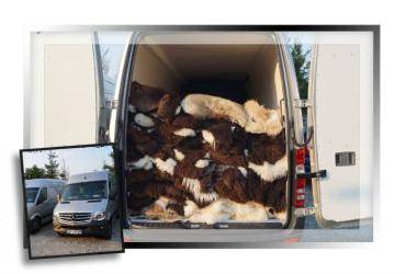 Peaux de mouton - Producteur - sans intermédiaires. Alors qu'est-ce qui nous distingue ?