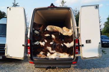 Peaux de mouton - Transport professionnel
