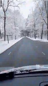 Peaux de mouton - Voyage d'hiver aux clients des Pays-Bas - une nouvelle livraison de peaux de mouton