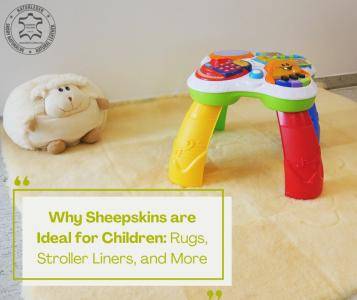 Peaux de mouton - Pourquoi les peaux de mouton sont idéales pour les enfants : Tapis, coussins pour poussettes et plus encore