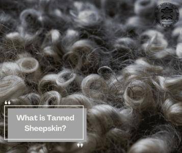 Peaux de mouton - Qu'est-ce que le cuir de mouton tanné?
