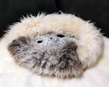 Lit pour animaux de compagnie (motif 11)
