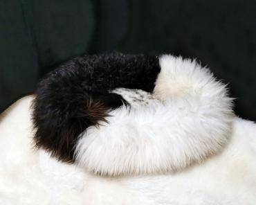 Lit pour animaux de compagnie (motif 4)