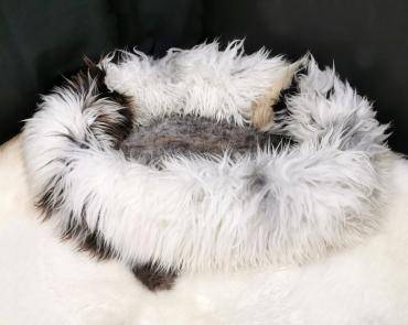 Lit pour animaux de compagnie (motif 5)