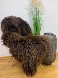 Peau de mouton hollandais (2)