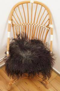 Coussin de chaise (1)