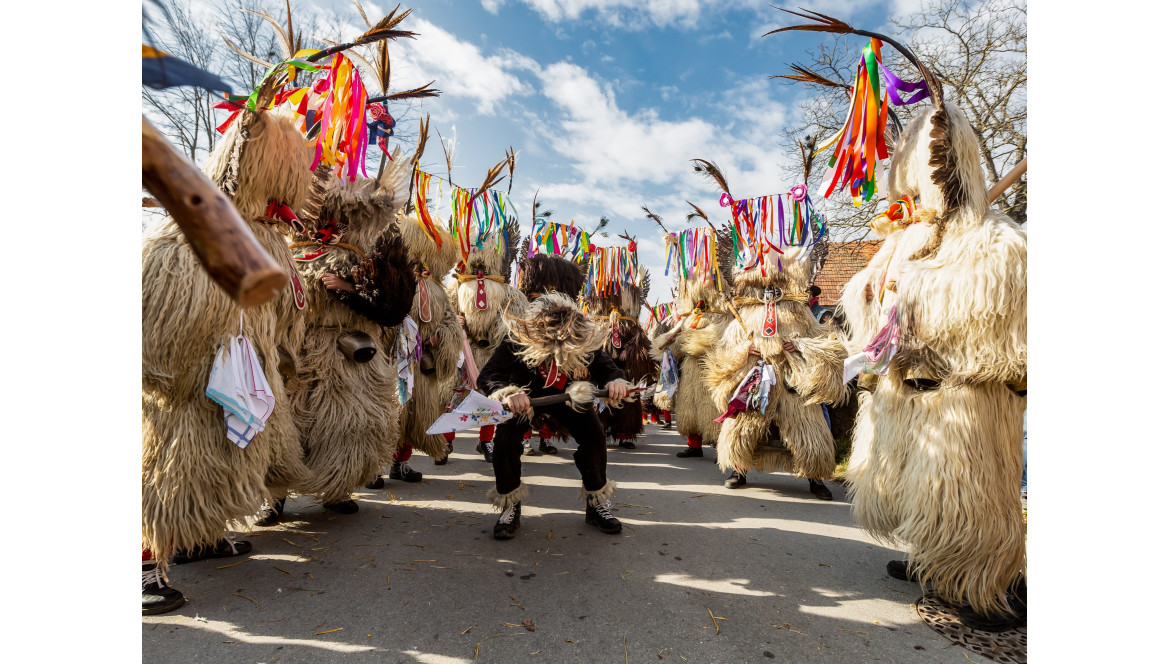 Peaux de mouton à poils longs pour costumes - Festival "Kurentovanje"